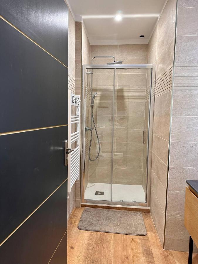 Les Appartements Du Palais Каркасон Екстериор снимка
