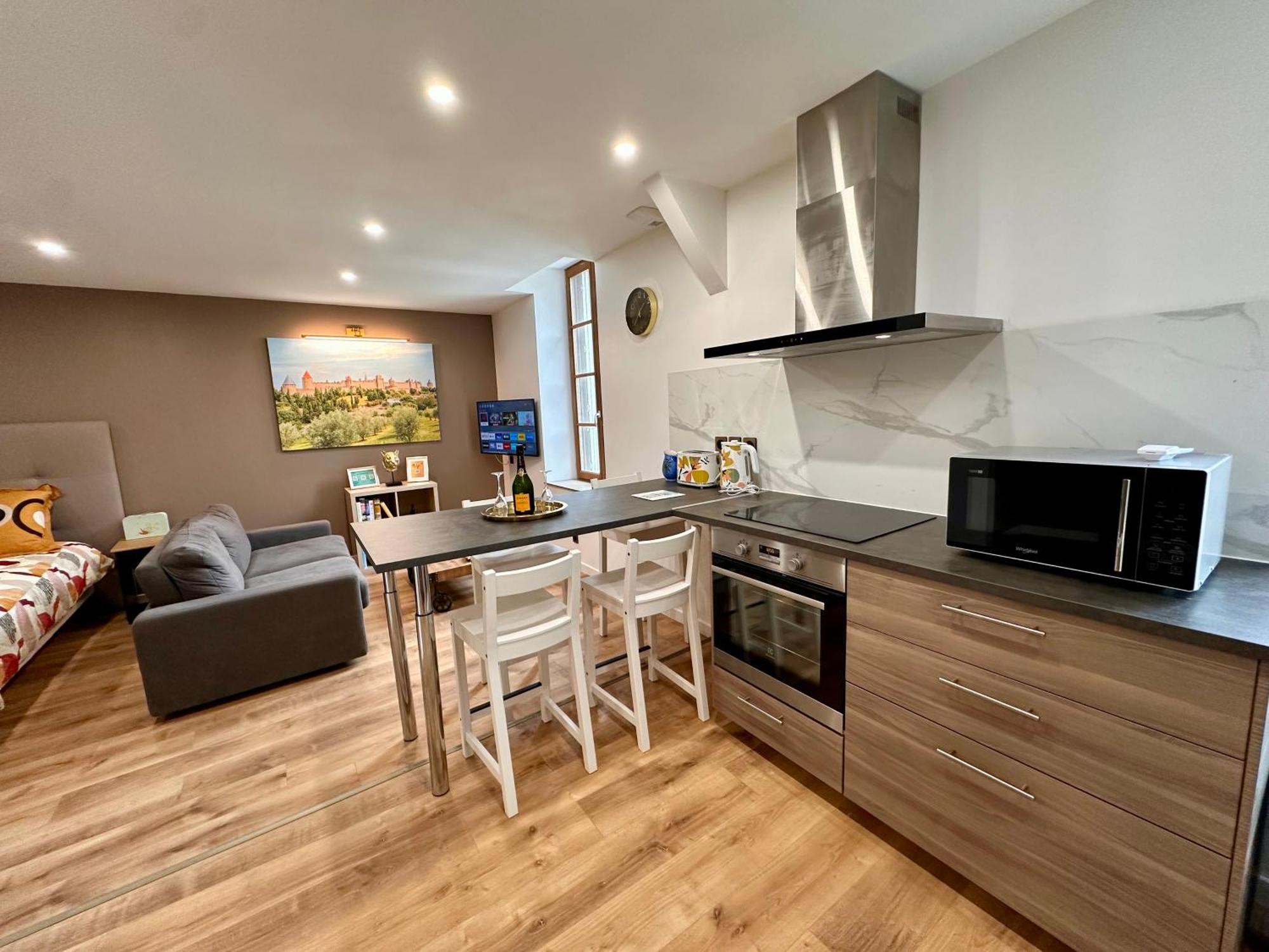 Les Appartements Du Palais Каркасон Екстериор снимка