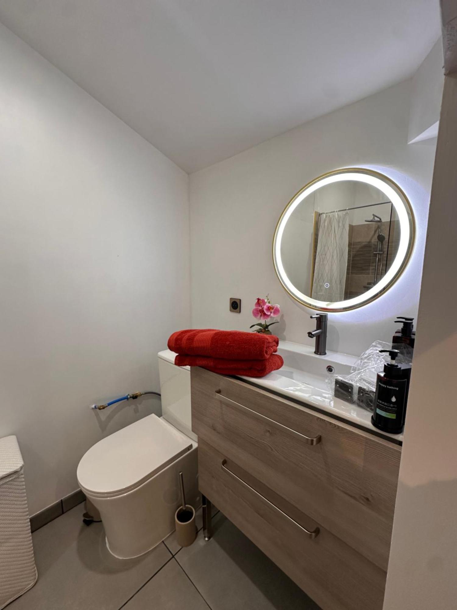 Les Appartements Du Palais Каркасон Екстериор снимка