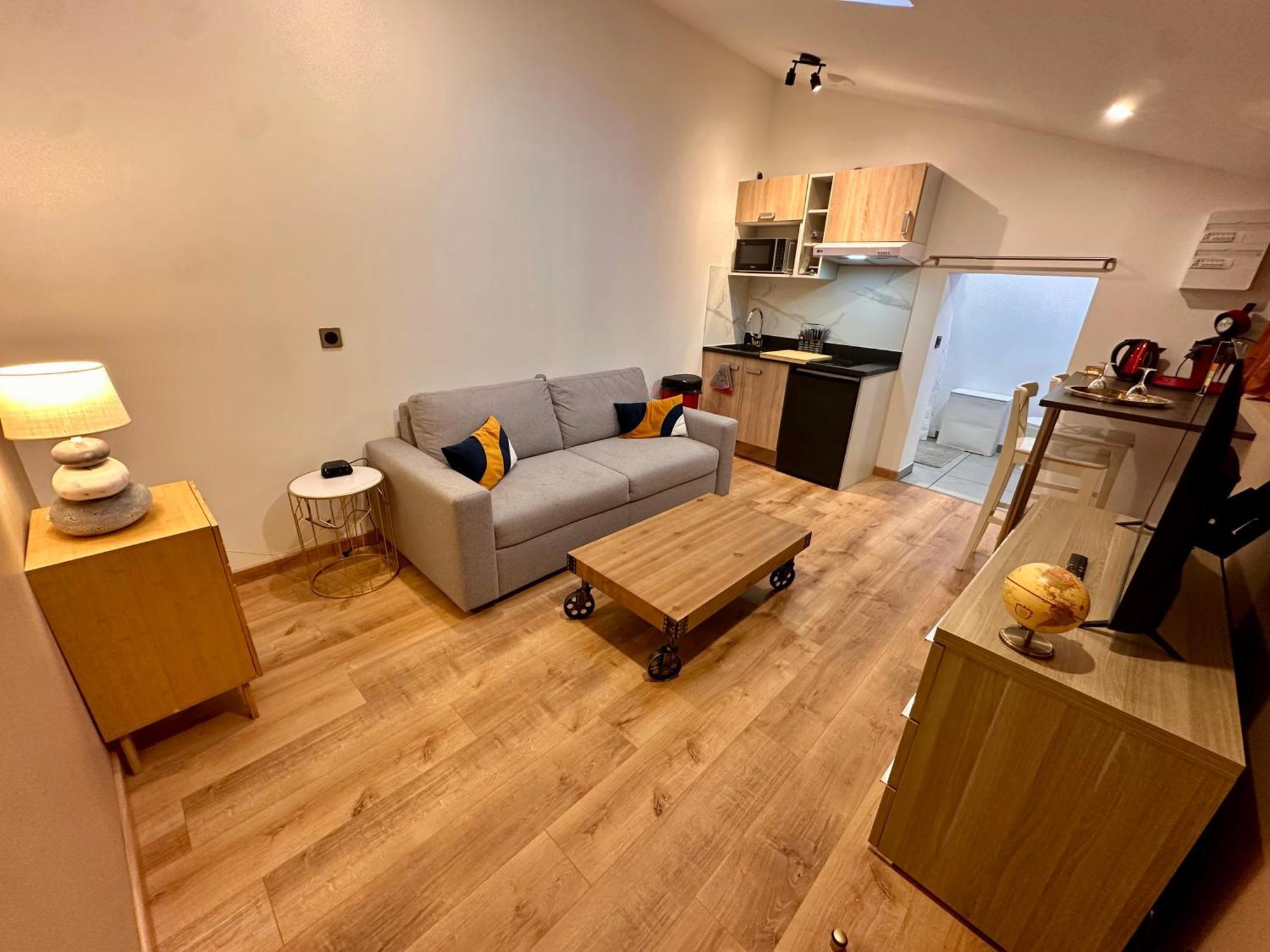 Les Appartements Du Palais Каркасон Екстериор снимка