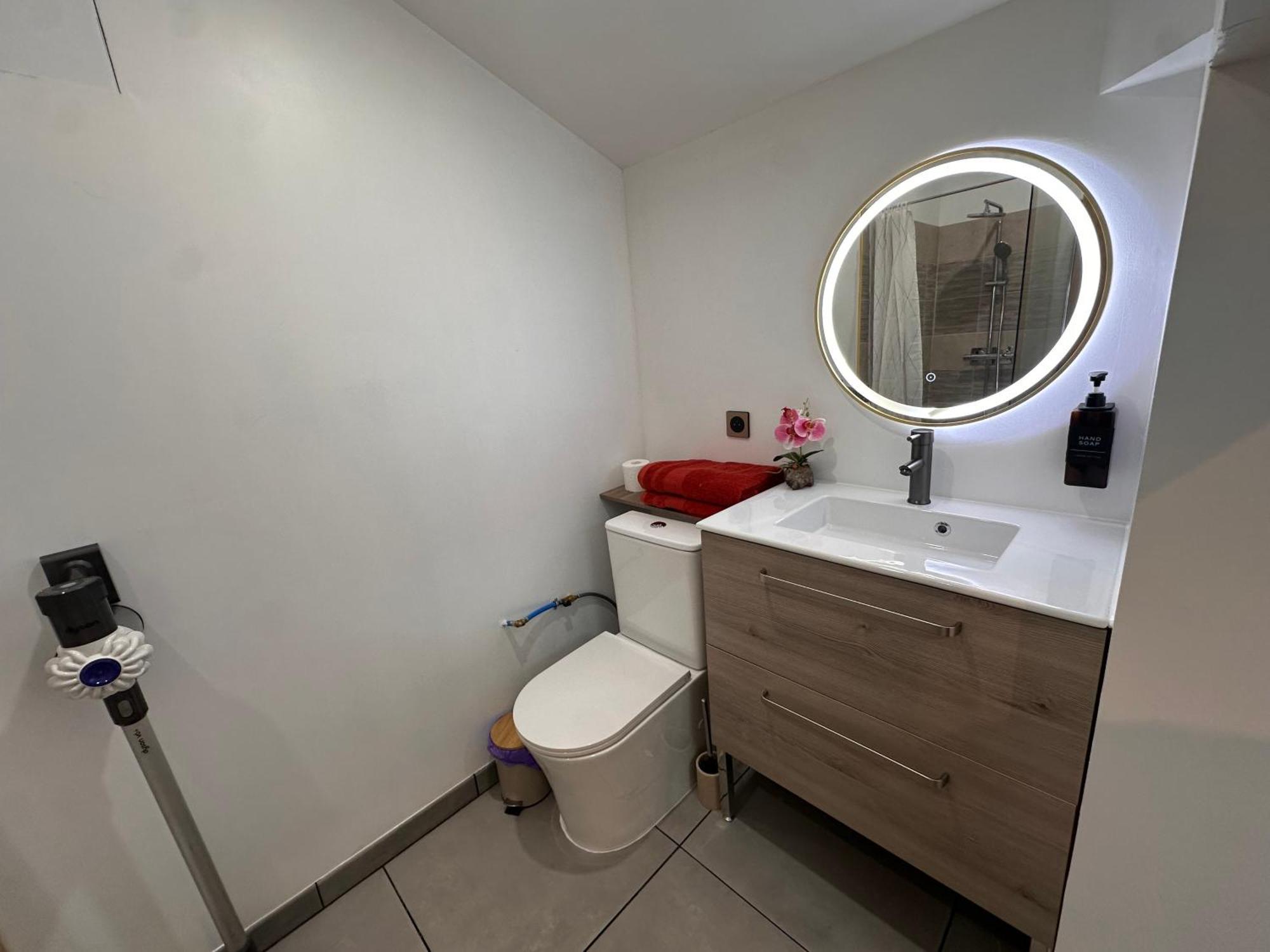 Les Appartements Du Palais Каркасон Екстериор снимка