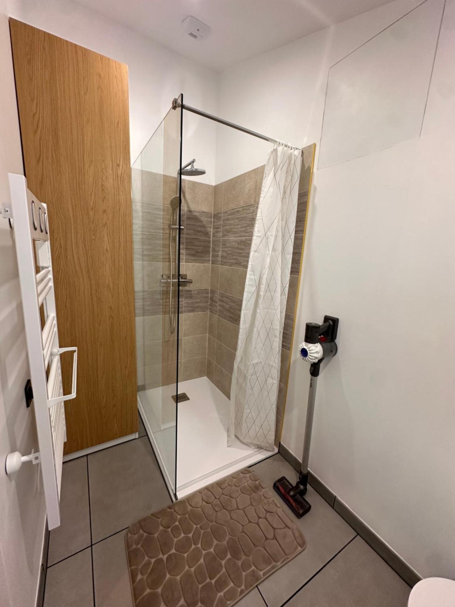 Les Appartements Du Palais Каркасон Екстериор снимка